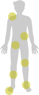 人体図